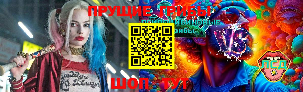 Галлюциногенные грибы прущие грибы  Вход с VPN  Урус-Мартан  Галлюциногенные грибы мицелий 