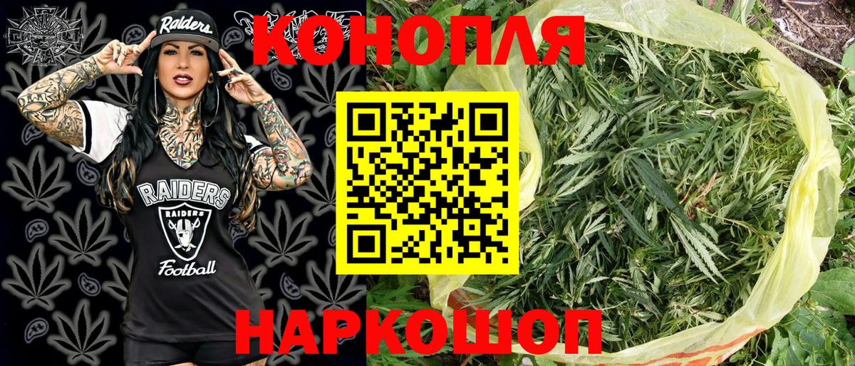 Бошки Шишки гибрид Урус-Мартан